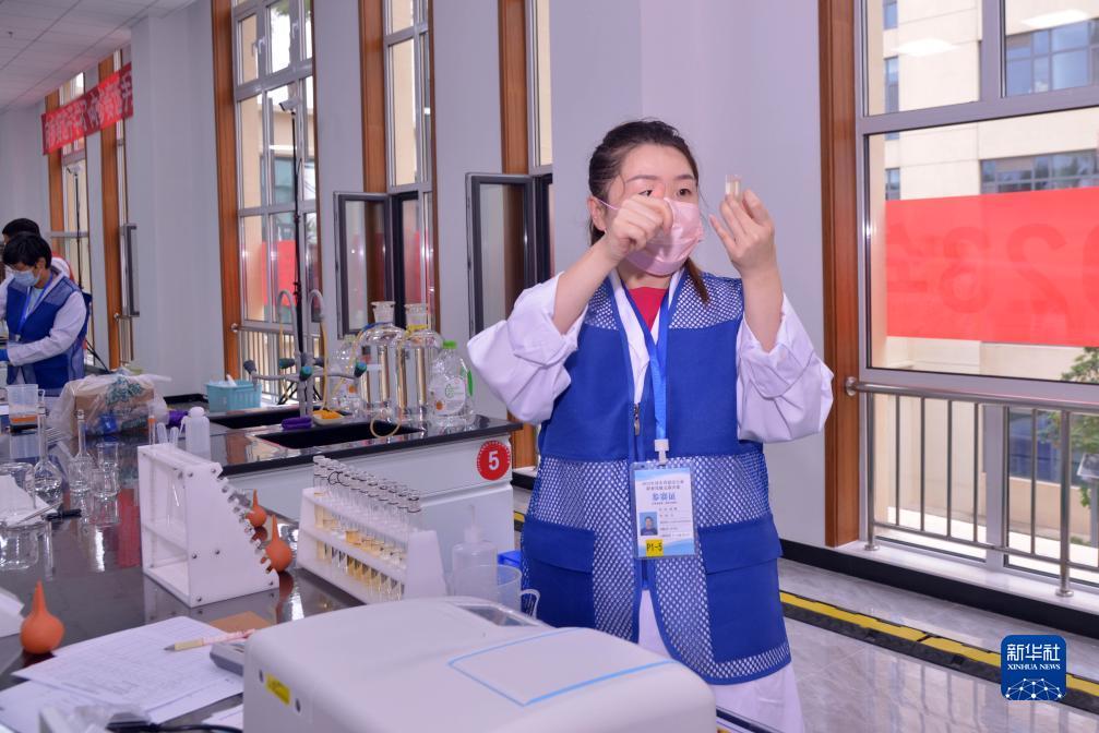 鱼丸游戏电脑版